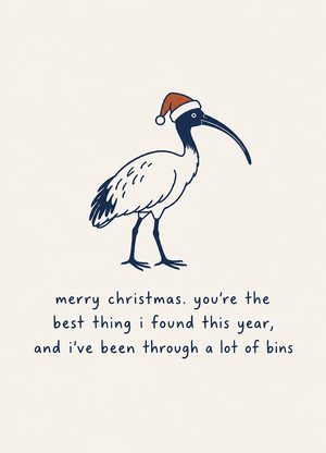 ibis in a santa hat